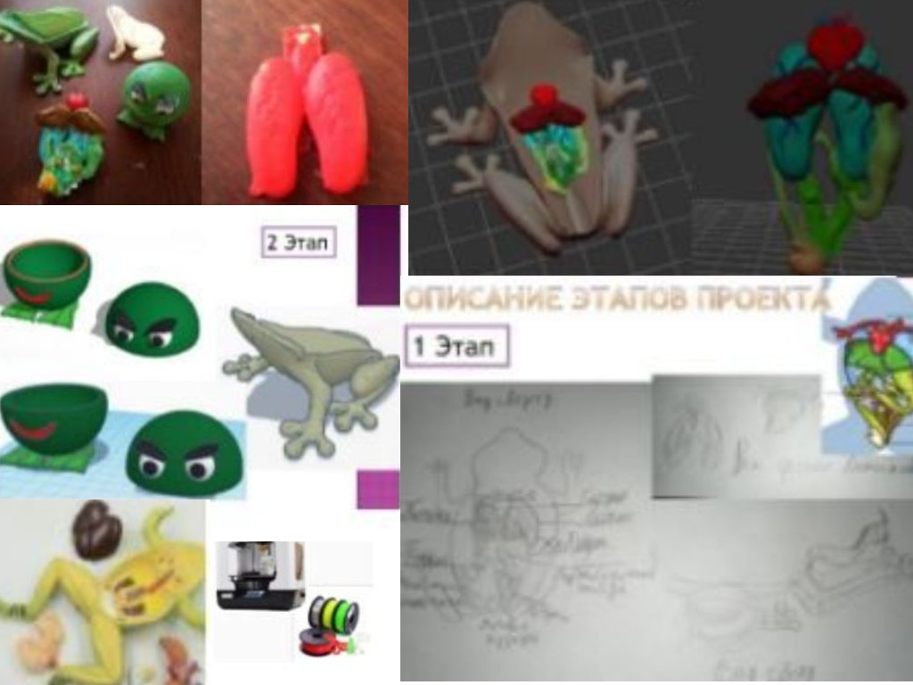 3D МОДЕЛИ В УЧЕБНЫХ ЦЕЛЯХ